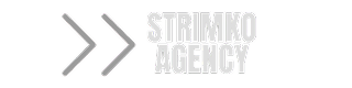 https://mvwebideas.com/wp-content/uploads/2026/01/04-2.png